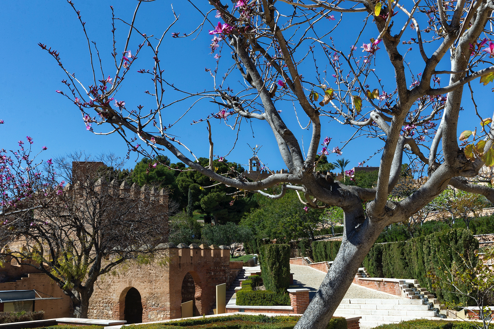 Le château Santa Bárbara